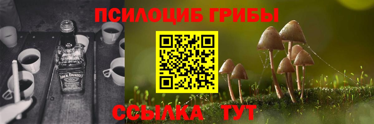 Галлюциногенные грибы Psilocybine cubensis Апшеронск